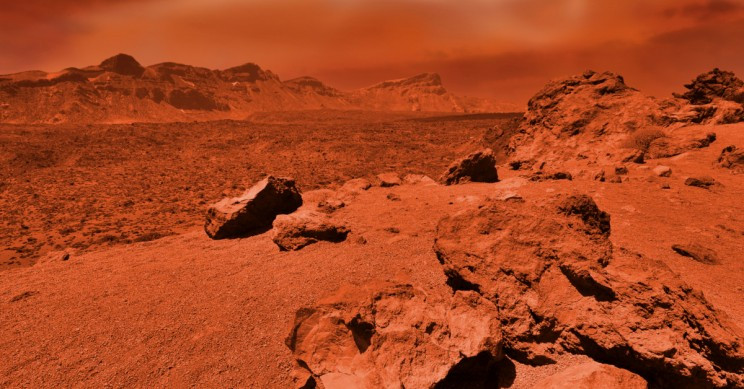 Occupy Mars - Then What?